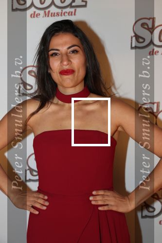 Breda, 18 November 2018
Premiere Musical Soof.
Zahra Lfil