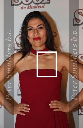 Breda, 18 November 2018
Premiere Musical Soof.
Zahra Lfil