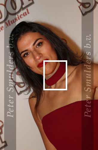 Breda, 18 November 2018
Premiere Musical Soof.
Zahra Lfil