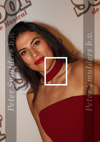 Breda, 18 November 2018
Premiere Musical Soof.
Zahra Lfil