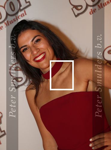 Breda, 18 November 2018
Premiere Musical Soof.
Zahra Lfil