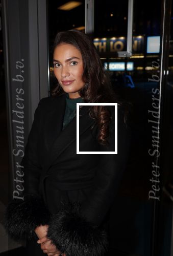 Amsterdam 11 december 2018
Modeshow en feest Nikkie Plessen met heel veel artiesten in AFAS live. dochter Frank Masmeijer