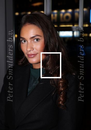 Amsterdam 11 december 2018
Modeshow en feest Nikkie Plessen met heel veel artiesten in AFAS live. dochter Frank Masmeijer