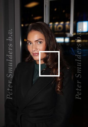 Amsterdam 11 december 2018
Modeshow en feest Nikkie Plessen met heel veel artiesten in AFAS live. dochter Frank Masmeijer