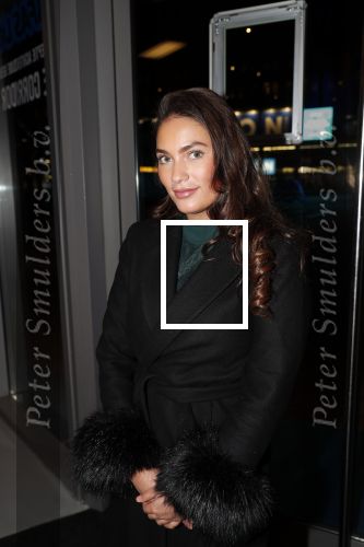 Amsterdam 11 december 2018
Modeshow en feest Nikkie Plessen met heel veel artiesten in AFAS live. dochter Frank Masmeijer