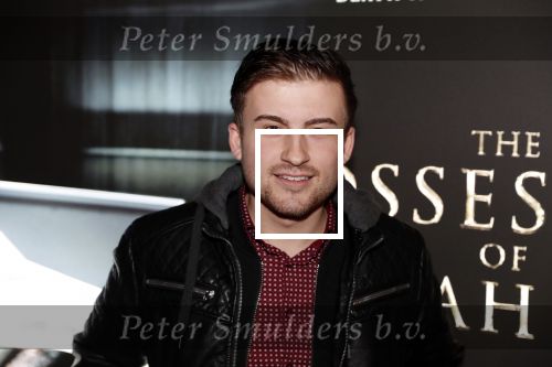 Amsterdam 26 november 2018
Premiere van the possession of Hannah Grace van regisseur Diederik v Rooijen in Pathe de munt.