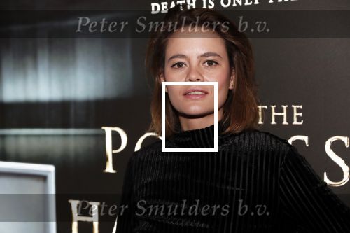 Amsterdam 26 november 2018
Premiere van the possession of Hannah Grace van regisseur Diederik v Rooijen in Pathe de munt.