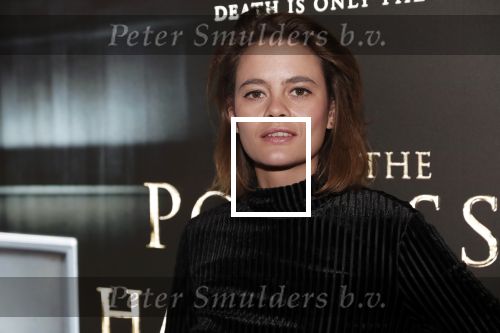 Amsterdam 26 november 2018
Premiere van the possession of Hannah Grace van regisseur Diederik v Rooijen in Pathe de munt.