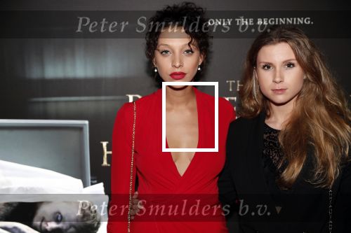 Amsterdam 26 november 2018
Premiere van the possession of Hannah Grace van regisseur Diederik v Rooijen in Pathe de munt.