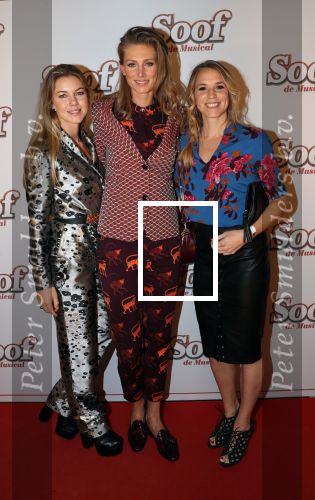 Breda, 18 November 2018
Premiere Musical Soof.
