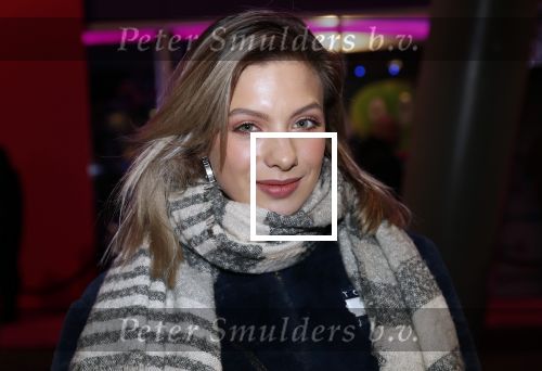 Amsterdam 24 november 2019
Opening gamestate bij Amsterdam Arena. Amber Delil en Jermaine Fleur