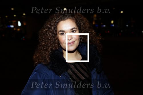 Amsterdam 24 november 2019
Opening gamestate bij Amsterdam Arena. Dorian Bindels en Annefleur v d Berg