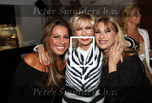 Aalsmeer 18 november 2019
Bonnie st Claire viert haar 70e verjaardag in de Praam in Aalsmeer. Bonnie met Esther Oosterbeek en Anita Heilker