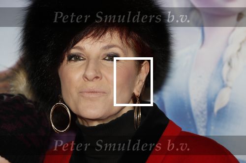Amsterdam 16 november 2019
Premiere Frozen 2 in Tuschinski. Chazia Mourali met dochter