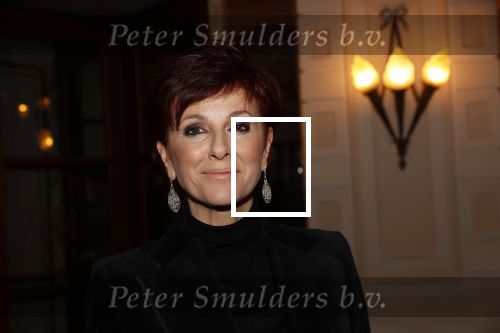 Amsterdam 25 november 2019
Boekpresentatie Victor Mids en Oscar Verpoort ( MINDFUCK) in het Amstel Hotel . Hans Kazan krijgt het eerste exemplaar. Chazia Mourali