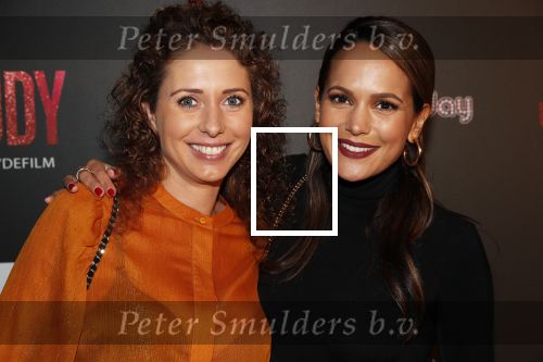 Amsterdam 13 november 2019
Premiere Judy in Tuschinski. Mayday host de avond. Elise v d Horst kwam met een vriendin