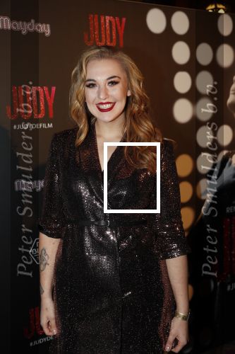 Amsterdam 13 november 2019
Premiere Judy in Tuschinski. Mayday host de avond. Emmaly Brown