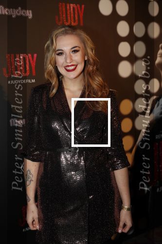 Amsterdam 13 november 2019
Premiere Judy in Tuschinski. Mayday host de avond. Emmaly Brown
