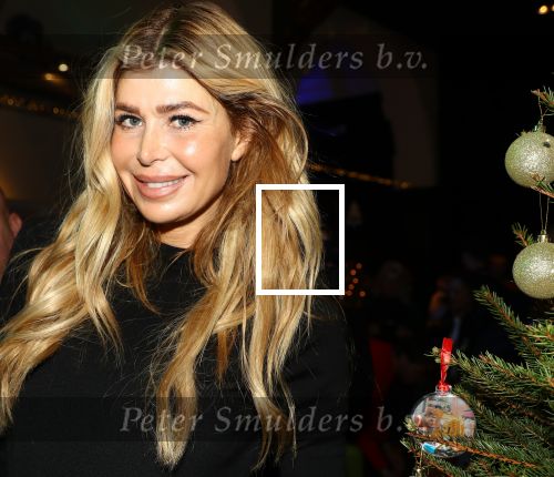 Amsterdam, 6 December 2019
Sky Radioâ€™s Christmas Tree For Charity met BN-ers
Estelle Cruijff