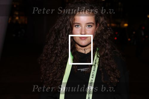 Amsterdam 24 november 2019
Opening gamestate bij Amsterdam Arena. Gigi Louise Springer