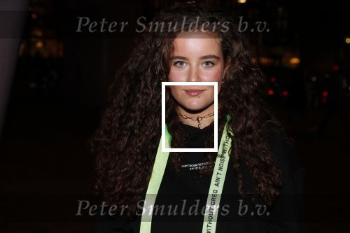 Amsterdam 24 november 2019
Opening gamestate bij Amsterdam Arena. Gigi Louise Springer