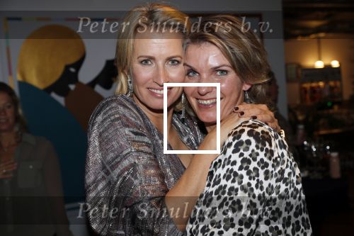Amsterdam 21 november 2019
Presentatie platform  Grace & Us van Anouk Smulders.