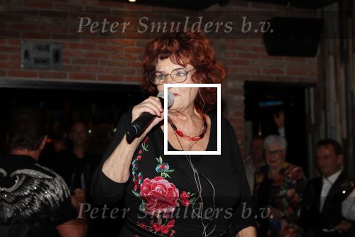 Aalsmeer 18 november 2019
Bonnie st Claire viert haar 70e verjaardag in de Praam in Aalsmeer. Imca Marina