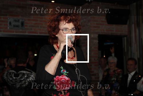 Aalsmeer 18 november 2019
Bonnie st Claire viert haar 70e verjaardag in de Praam in Aalsmeer. Imca Marina