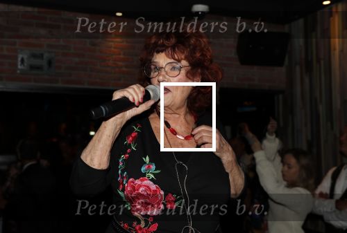 Aalsmeer 18 november 2019
Bonnie st Claire viert haar 70e verjaardag in de Praam in Aalsmeer. Imca Marina