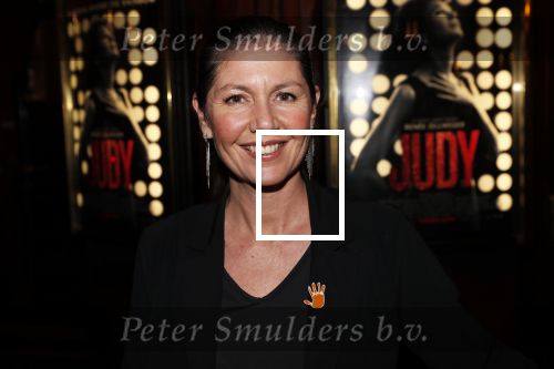 Amsterdam 13 november 2019
Premiere Judy in Tuschinski. Mayday host de avond. Josefine v asdonk met man