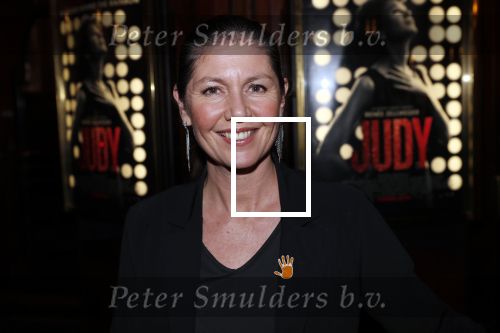 Amsterdam 13 november 2019
Premiere Judy in Tuschinski. Mayday host de avond. Josefine v asdonk met man