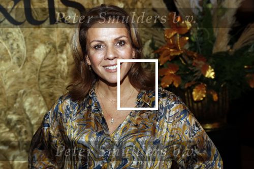 Amsterdam 21 november 2019
Presentatie platform  Grace & Us van Anouk Smulders. Leontien v Moorsel