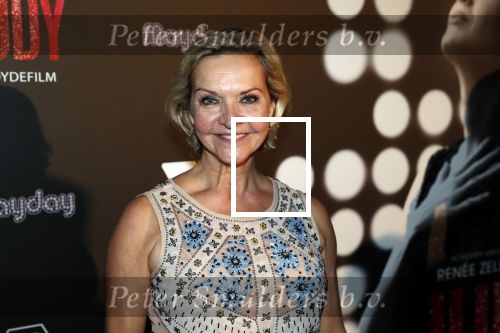 Amsterdam 13 november 2019
Premiere Judy in Tuschinski. Mayday host de avond. Mariska v Kolck