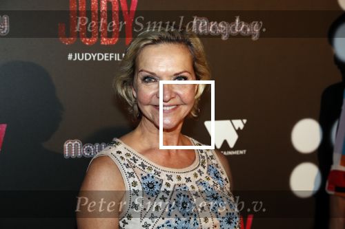 Amsterdam 13 november 2019
Premiere Judy in Tuschinski. Mayday host de avond. Mariska v Kolck
