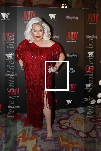 Amsterdam 13 november 2019
Premiere Judy in Tuschinski. Mayday host de avond.