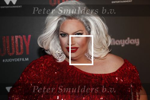 Amsterdam 13 november 2019
Premiere Judy in Tuschinski. Mayday host de avond.