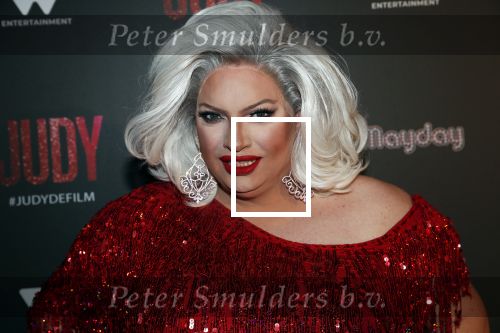 Amsterdam 13 november 2019
Premiere Judy in Tuschinski. Mayday host de avond.