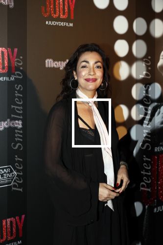 Amsterdam 13 november 2019
Premiere Judy in Tuschinski. Mayday host de avond. Monique Klemann