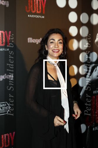 Amsterdam 13 november 2019
Premiere Judy in Tuschinski. Mayday host de avond. Monique Klemann