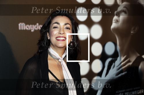 Amsterdam 13 november 2019
Premiere Judy in Tuschinski. Mayday host de avond. Monique Klemann