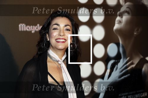 Amsterdam 13 november 2019
Premiere Judy in Tuschinski. Mayday host de avond. Monique Klemann