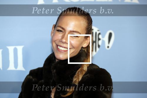 Amsterdam 16 november 2019
Premiere Frozen 2 in Tuschinski. Nicolette Kluijver kwam met haar dochter