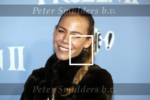 Amsterdam 16 november 2019
Premiere Frozen 2 in Tuschinski. Nicolette Kluijver kwam met haar dochter
