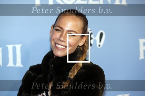 Amsterdam 16 november 2019
Premiere Frozen 2 in Tuschinski. Nicolette Kluijver kwam met haar dochter