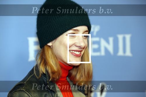Amsterdam 16 november 2019
Premiere Frozen 2 in Tuschinski. Noortje Herlaar