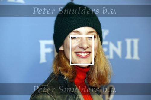 Amsterdam 16 november 2019
Premiere Frozen 2 in Tuschinski. Noortje Herlaar