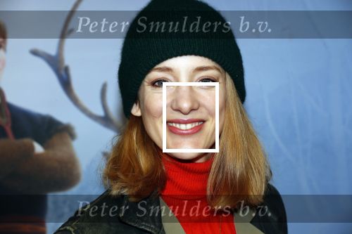 Amsterdam 16 november 2019
Premiere Frozen 2 in Tuschinski. Noortje Herlaar