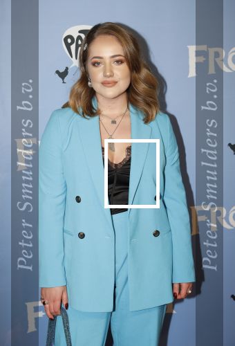 Amsterdam 16 november 2019
Premiere Frozen 2 in Tuschinski. Pleun Bierbooms