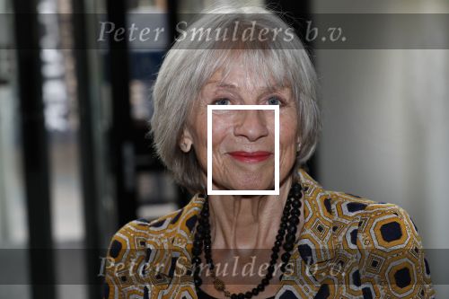 Schiedam 24 november 2019
Premiere show Gerard Cox in theater van Schiedam .
Hugo Metsers en Pleuni Touw