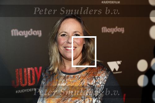 Amsterdam 13 november 2019
Premiere Judy in Tuschinski. Mayday host de avond. Selma v Dijk